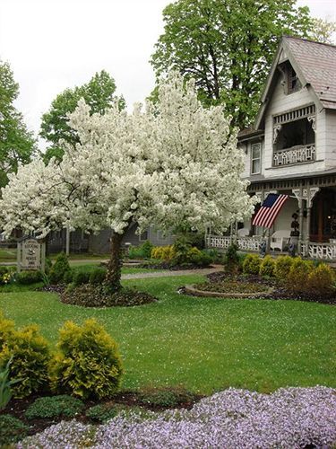 Rocking Horse Inn Ravenna Экстерьер фото